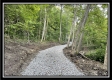 More of Tract 3 - The Woods at Blue Rock