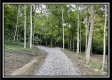 More of Tract 3 - The Woods at Blue Rock
