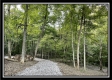 More of Tract 3 - The Woods at Blue Rock
