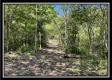Tract 4 - The Woods at Blue Rock property photo
