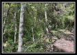Tract 4 - The Woods at Blue Rock property photo