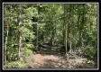 Tract 4 - The Woods at Blue Rock property photo