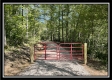 More of Tract 4 - The Woods at Blue Rock