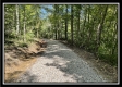 More of Tract 4 - The Woods at Blue Rock