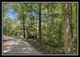 More of Tract 4 - The Woods at Blue Rock