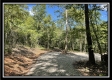 More of Tract 4 - The Woods at Blue Rock