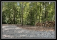 Tract 4 - The Woods at Blue Rock property photo