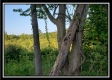 Tract 6 - The Views at Deer Ridge property photo