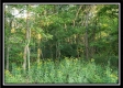 Tract 6 - The Views at Deer Ridge property photo