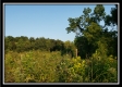 Tract 6 - The Views at Deer Ridge property photo
