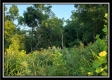 Tract 6 - The Views at Deer Ridge property photo