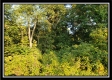 Tract 6 - The Views at Deer Ridge property photo