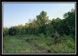 Tract 6 - The Views at Deer Ridge property photo