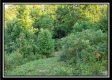 Tract 6 - The Views at Deer Ridge property photo