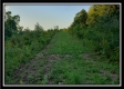 Tract 6 - The Views at Deer Ridge property photo