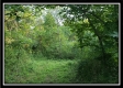 Tract 6 - The Views at Deer Ridge property photo