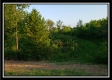 More of Tract 6 - The Views at Deer Ridge