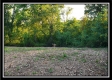 Tract 6 - The Views at Deer Ridge property photo