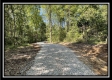 Sportsman Cabin at Blue Rock property photo