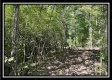 Sportsman Cabin at Blue Rock property photo