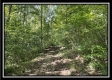 Sportsman Cabin at Blue Rock property photo