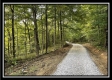Tract 6 - The Woods at Blue Rock property photo