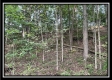 Tract 6 - The Woods at Blue Rock property photo