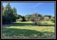 Tract 6 - The Woods at Blue Rock property photo