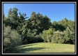 Tract 6 - The Woods at Blue Rock property photo