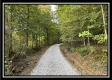 More of Tract 6 - The Woods at Blue Rock