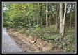 More of Tract 6 - The Woods at Blue Rock