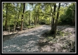 Tract 10 - The Woods at Blue Rock property photo