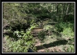 Tract 10 - The Woods at Blue Rock property photo