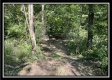 Tract 10 - The Woods at Blue Rock property photo