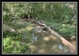More of Tract 10 - The Woods at Blue Rock