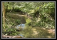 More of Tract 10 - The Woods at Blue Rock