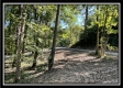 Tract 10 - The Woods at Blue Rock property photo