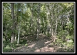 Tract 11 - The Woods at Blue Rock property photo