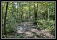 Tract 11 - The Woods at Blue Rock property photo