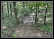 Tract 11 - The Woods at Blue Rock property photo