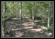 Tract 11 - The Woods at Blue Rock property photo