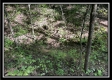 Tract 11 - The Woods at Blue Rock property photo