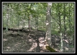 Tract 11 - The Woods at Blue Rock property photo