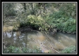 More of Tract 11 - The Woods at Blue Rock