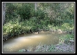 More of Tract 11 - The Woods at Blue Rock