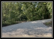 More of Tract 11 - The Woods at Blue Rock