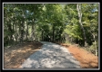 Tract 11 - The Woods at Blue Rock property photo