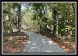 Tract 11 - The Woods at Blue Rock property photo