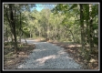 Tract 11 - The Woods at Blue Rock property photo