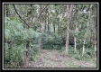Tract 6 - The Woods at Ridgeview property photo